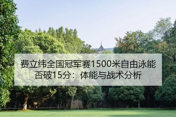 fei-li-wei-quan-guo-guan-jun-sai-mi-zi-you-yong-neng-fou-po-fen-ti-neng-yu-zhan-shu-fen-xi-2-128.jpg