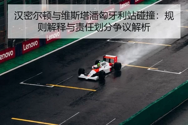 han-mi-er-dun-yu-wei-si-ta-pan-xiong-ya-li-zhan-peng-zhuang-gui-ze-jie-shi-yu-ze-ren-hua-fen-zheng-yi-jie-xi-3-370.jpg